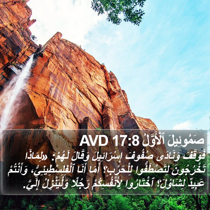 صَمُوئِيلَ ٱلْأَوَّلُ 17:8 AVD Bible Study