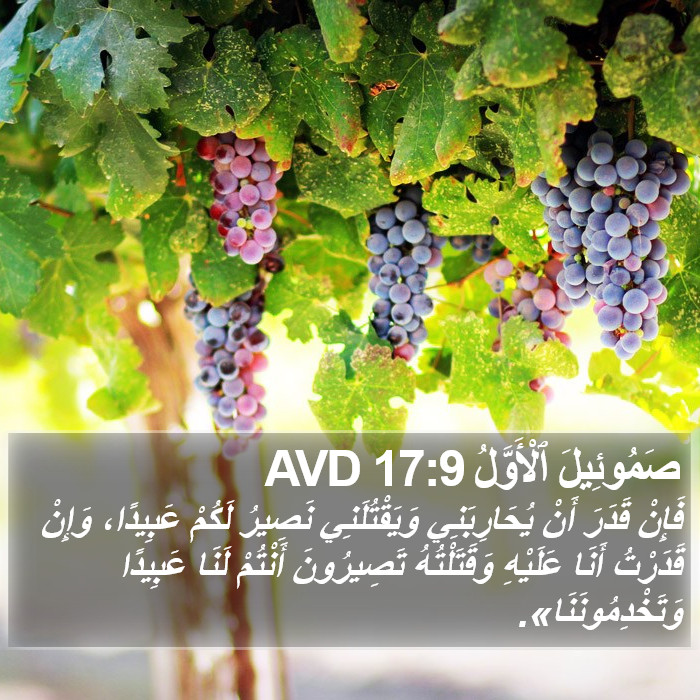 صَمُوئِيلَ ٱلْأَوَّلُ 17:9 AVD Bible Study