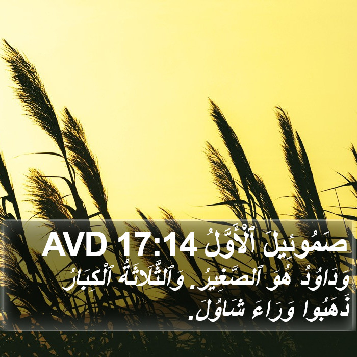 صَمُوئِيلَ ٱلْأَوَّلُ 17:14 AVD Bible Study