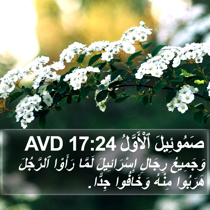 صَمُوئِيلَ ٱلْأَوَّلُ 17:24 AVD Bible Study
