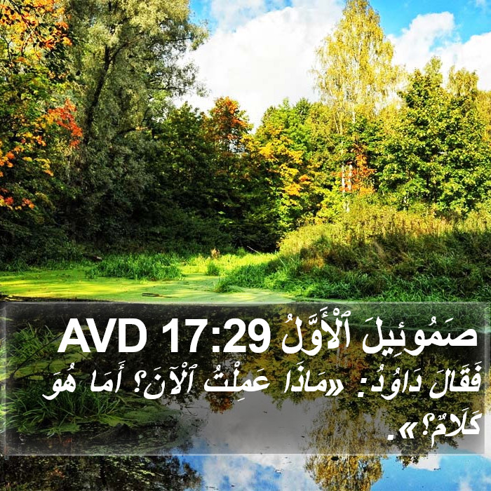 صَمُوئِيلَ ٱلْأَوَّلُ 17:29 AVD Bible Study