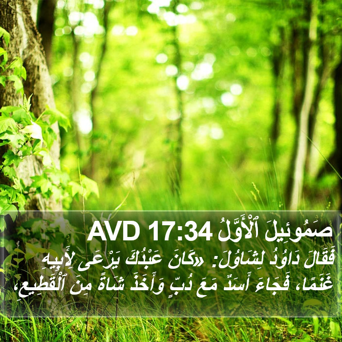 صَمُوئِيلَ ٱلْأَوَّلُ 17:34 AVD Bible Study