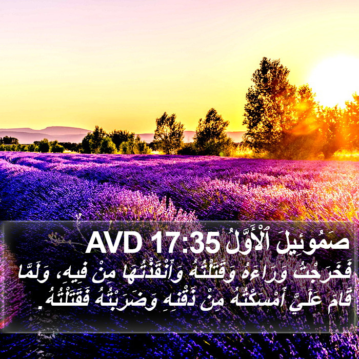 صَمُوئِيلَ ٱلْأَوَّلُ 17:35 AVD Bible Study
