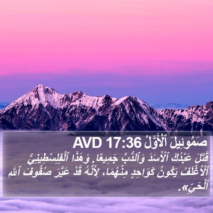 صَمُوئِيلَ ٱلْأَوَّلُ 17:36 AVD Bible Study