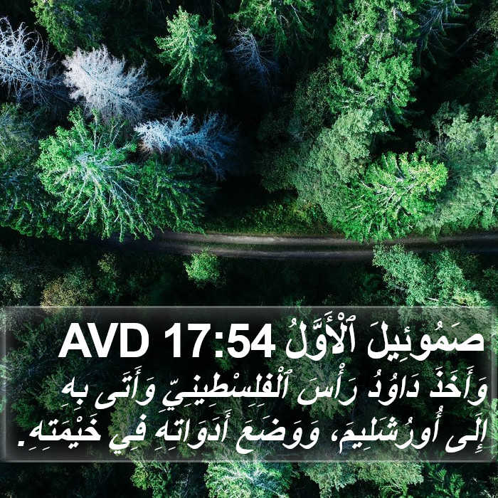 صَمُوئِيلَ ٱلْأَوَّلُ 17:54 AVD Bible Study