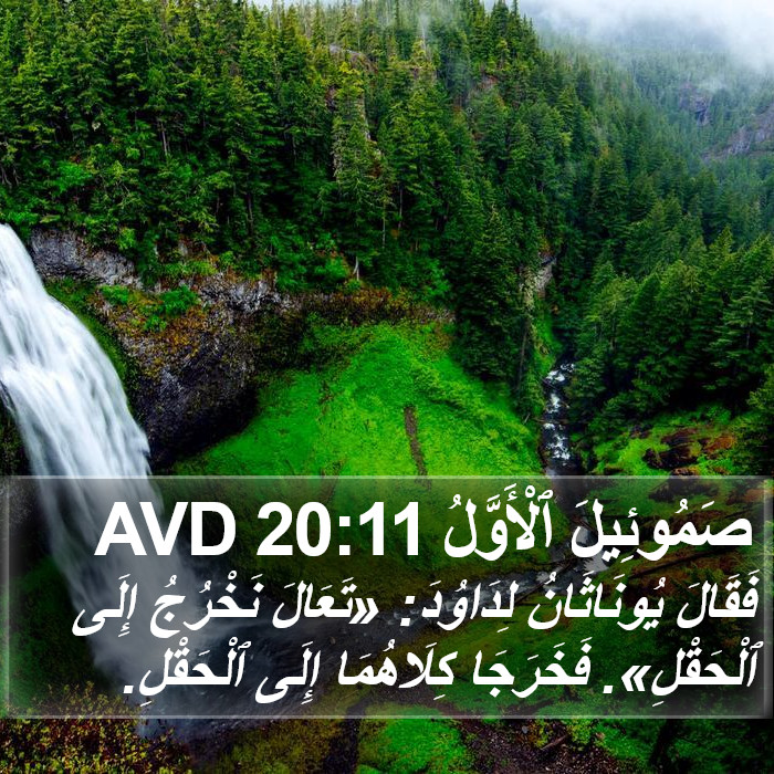 صَمُوئِيلَ ٱلْأَوَّلُ 20:11 AVD Bible Study