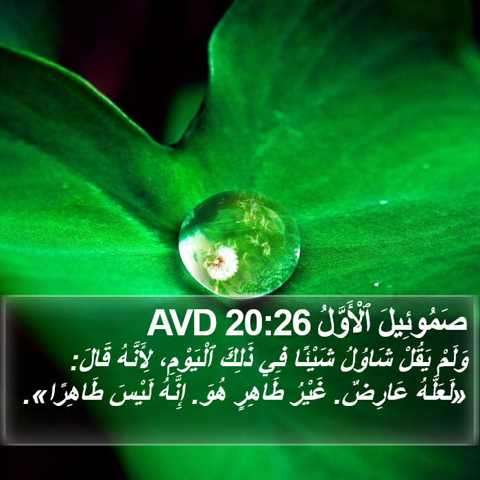 صَمُوئِيلَ ٱلْأَوَّلُ 20:26 AVD Bible Study