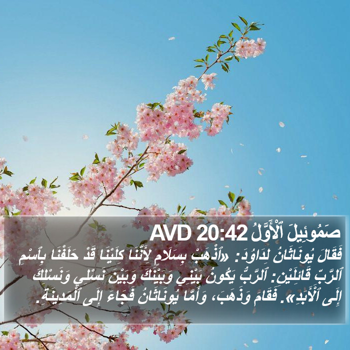 صَمُوئِيلَ ٱلْأَوَّلُ 20:42 AVD Bible Study