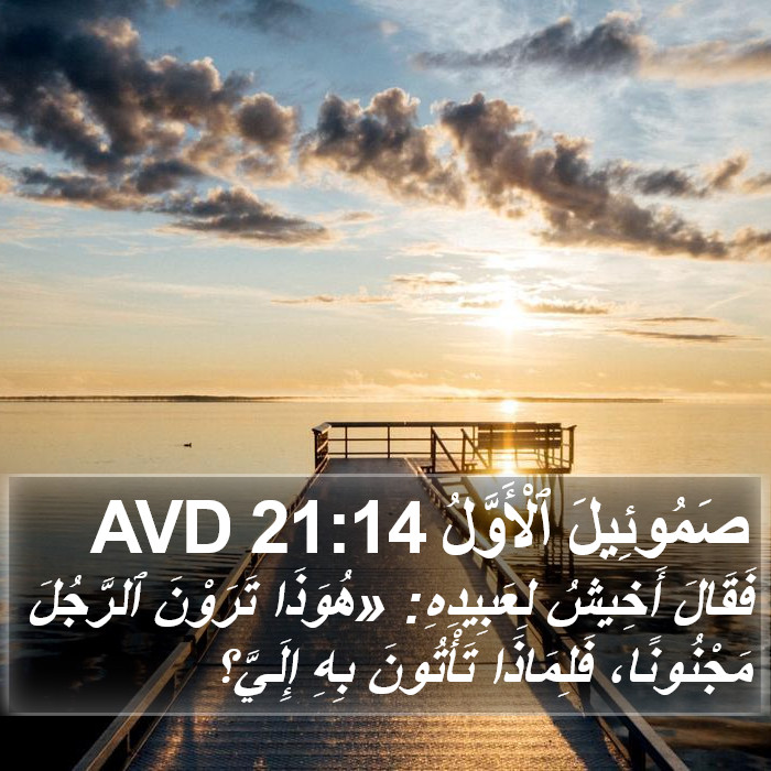صَمُوئِيلَ ٱلْأَوَّلُ 21:14 AVD Bible Study