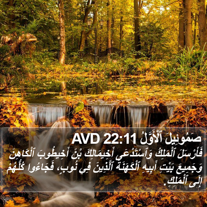 صَمُوئِيلَ ٱلْأَوَّلُ 22:11 AVD Bible Study