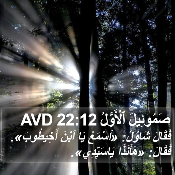 صَمُوئِيلَ ٱلْأَوَّلُ 22:12 AVD Bible Study