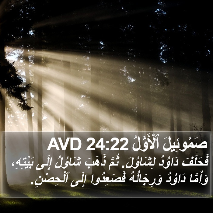 صَمُوئِيلَ ٱلْأَوَّلُ 24:22 AVD Bible Study