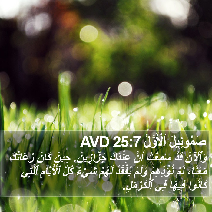 صَمُوئِيلَ ٱلْأَوَّلُ 25:7 AVD Bible Study