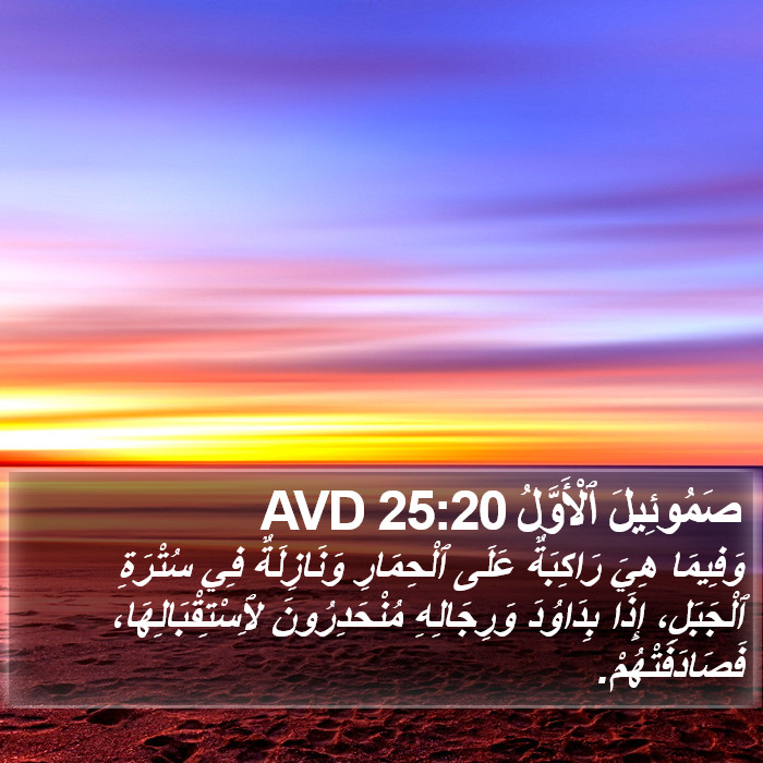 صَمُوئِيلَ ٱلْأَوَّلُ 25:20 AVD Bible Study