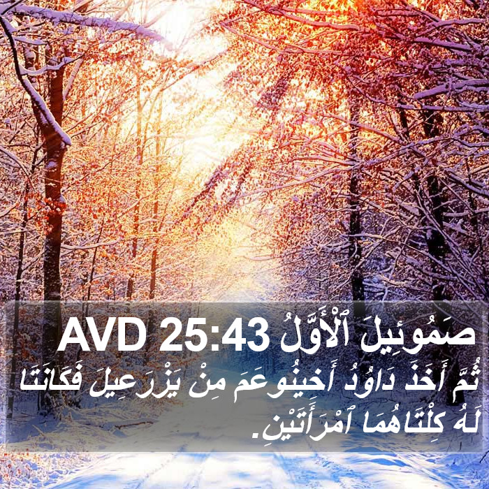 صَمُوئِيلَ ٱلْأَوَّلُ 25:43 AVD Bible Study