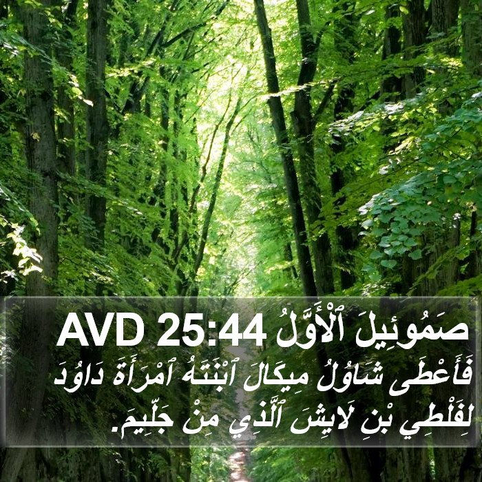 صَمُوئِيلَ ٱلْأَوَّلُ 25:44 AVD Bible Study