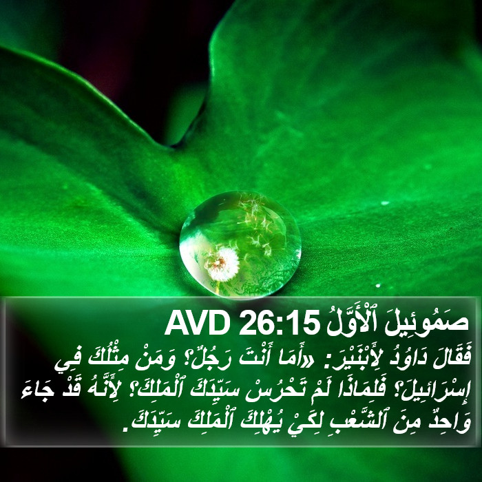 صَمُوئِيلَ ٱلْأَوَّلُ 26:15 AVD Bible Study