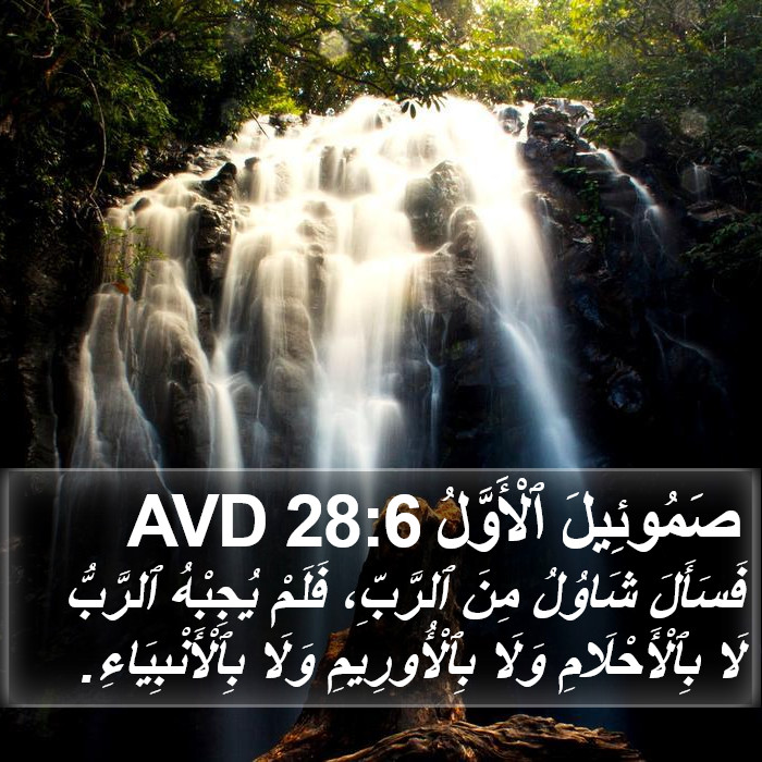 صَمُوئِيلَ ٱلْأَوَّلُ 28:6 AVD Bible Study