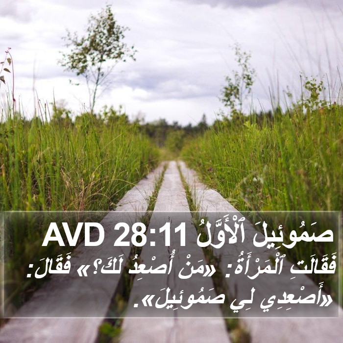 صَمُوئِيلَ ٱلْأَوَّلُ 28:11 AVD Bible Study