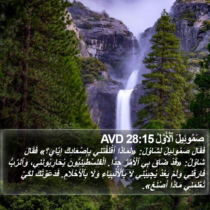 صَمُوئِيلَ ٱلْأَوَّلُ 28:15 AVD Bible Study
