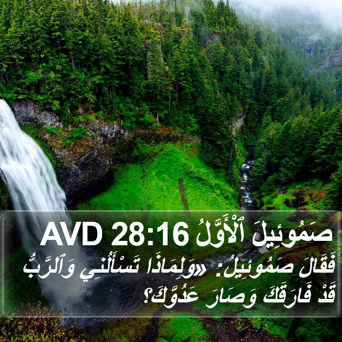 صَمُوئِيلَ ٱلْأَوَّلُ 28:16 AVD Bible Study