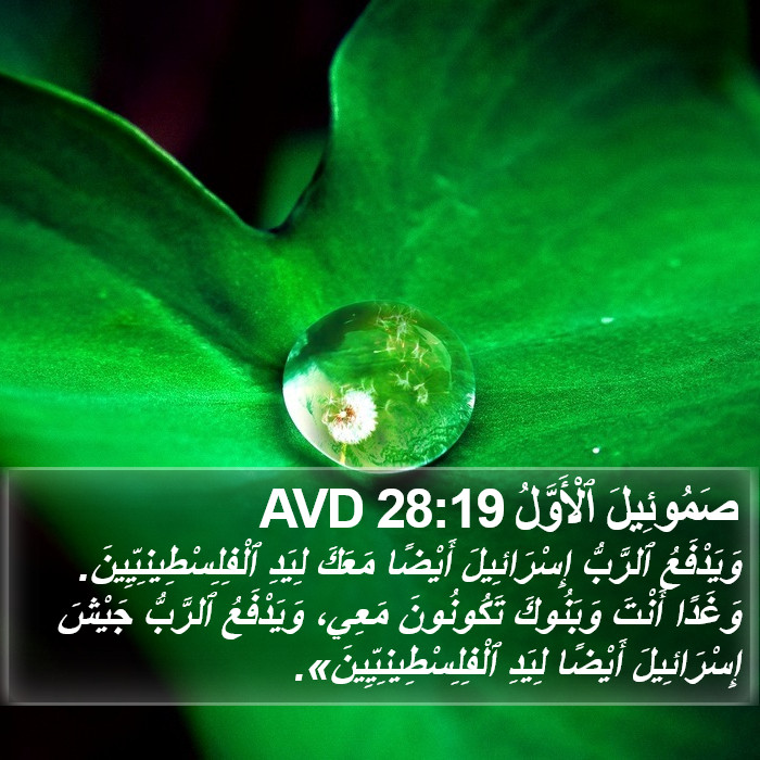 صَمُوئِيلَ ٱلْأَوَّلُ 28:19 AVD Bible Study