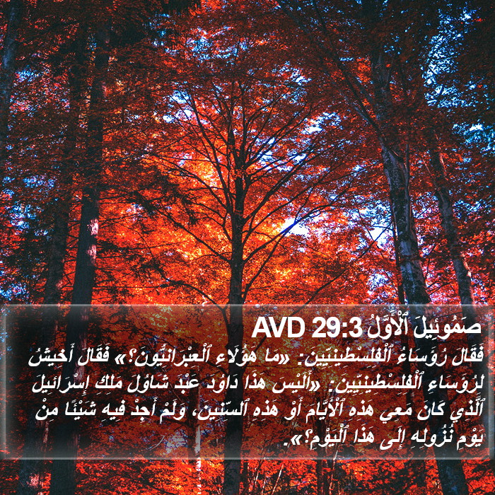 صَمُوئِيلَ ٱلْأَوَّلُ 29:3 AVD Bible Study