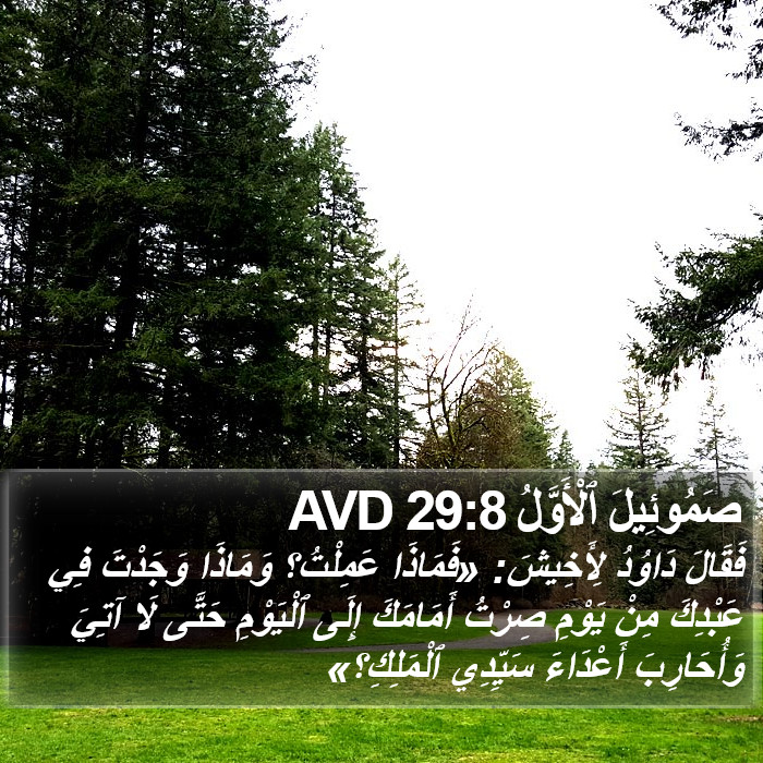 صَمُوئِيلَ ٱلْأَوَّلُ 29:8 AVD Bible Study