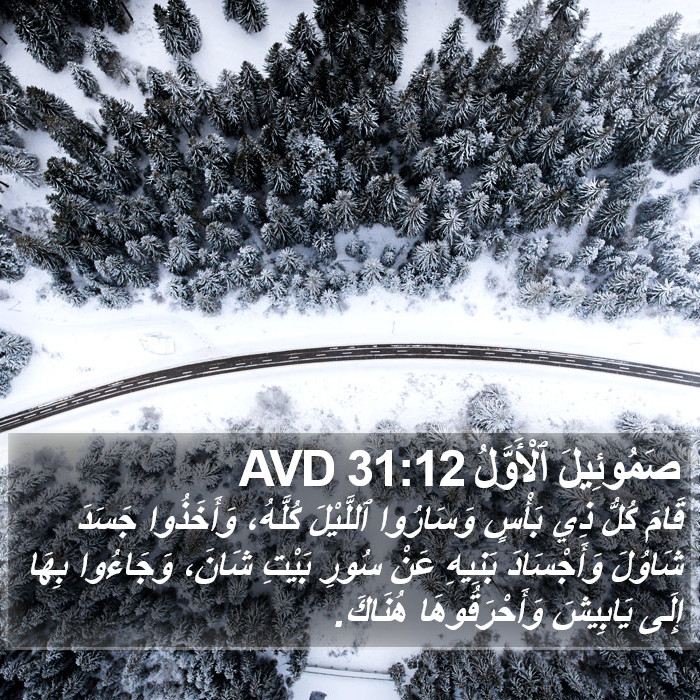 صَمُوئِيلَ ٱلْأَوَّلُ 31:12 AVD Bible Study