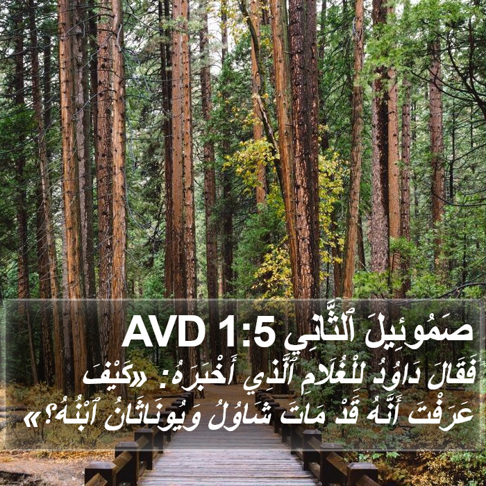 صَمُوئِيلَ ٱلثَّانِي 1:5 AVD Bible Study