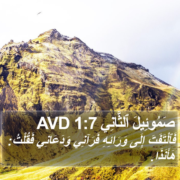 صَمُوئِيلَ ٱلثَّانِي 1:7 AVD Bible Study