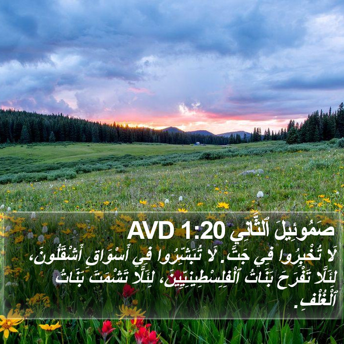 صَمُوئِيلَ ٱلثَّانِي 1:20 AVD Bible Study