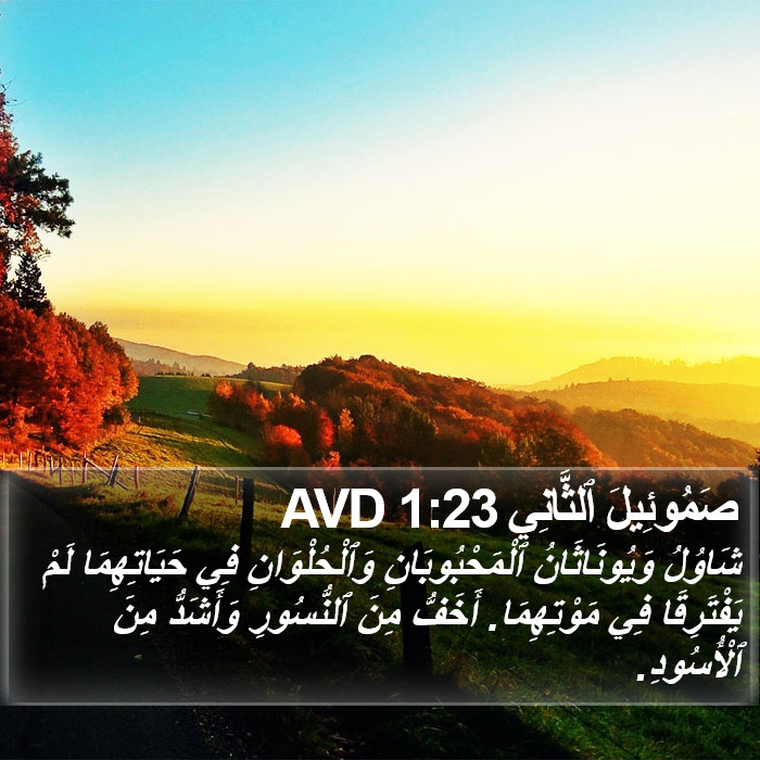 صَمُوئِيلَ ٱلثَّانِي 1:23 AVD Bible Study