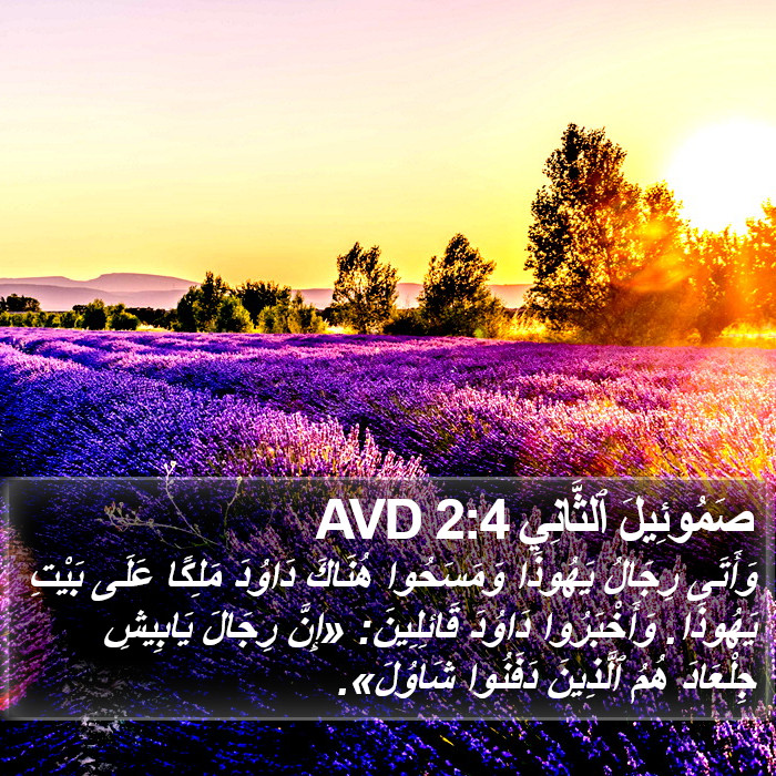 صَمُوئِيلَ ٱلثَّانِي 2:4 AVD Bible Study