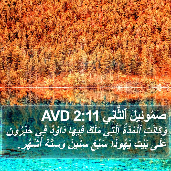 صَمُوئِيلَ ٱلثَّانِي 2:11 AVD Bible Study