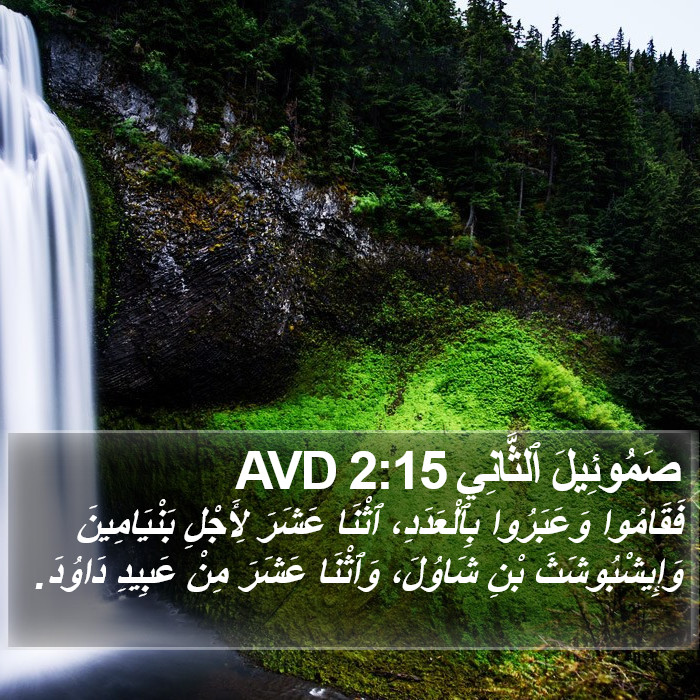 صَمُوئِيلَ ٱلثَّانِي 2:15 AVD Bible Study
