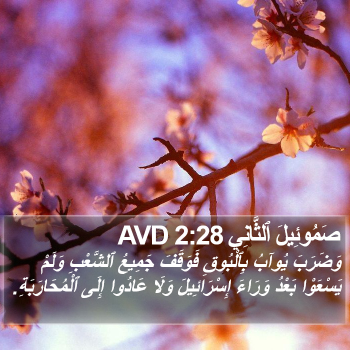 صَمُوئِيلَ ٱلثَّانِي 2:28 AVD Bible Study