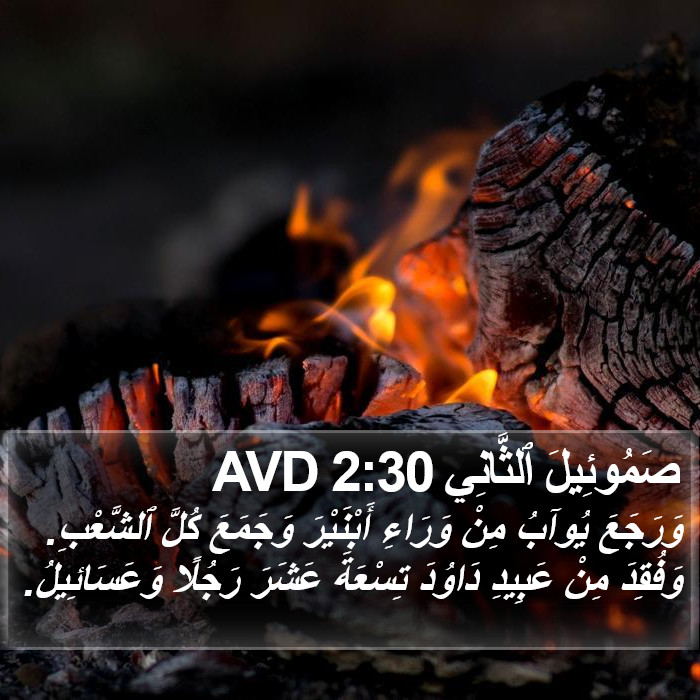 صَمُوئِيلَ ٱلثَّانِي 2:30 AVD Bible Study