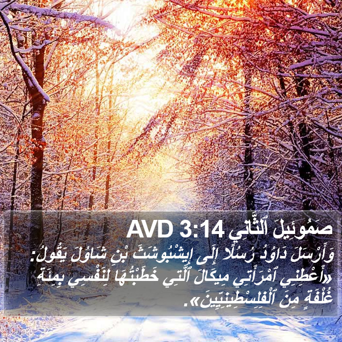 صَمُوئِيلَ ٱلثَّانِي 3:14 AVD Bible Study