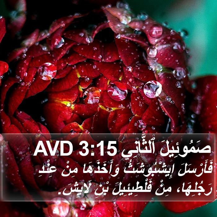 صَمُوئِيلَ ٱلثَّانِي 3:15 AVD Bible Study