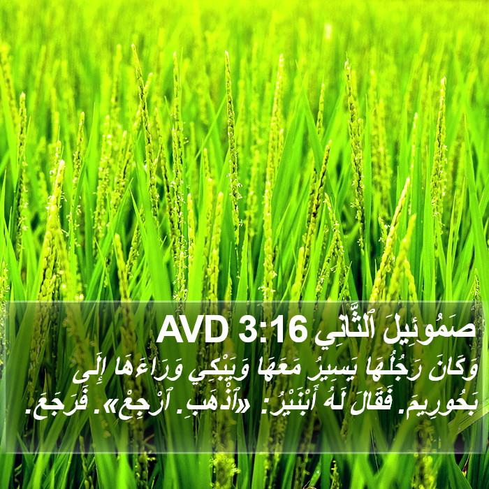صَمُوئِيلَ ٱلثَّانِي 3:16 AVD Bible Study