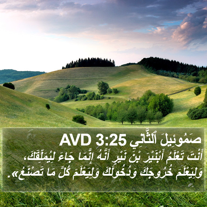صَمُوئِيلَ ٱلثَّانِي 3:25 AVD Bible Study