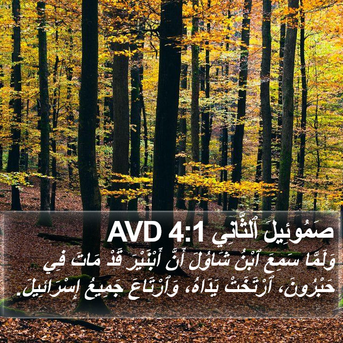 صَمُوئِيلَ ٱلثَّانِي 4:1 AVD Bible Study