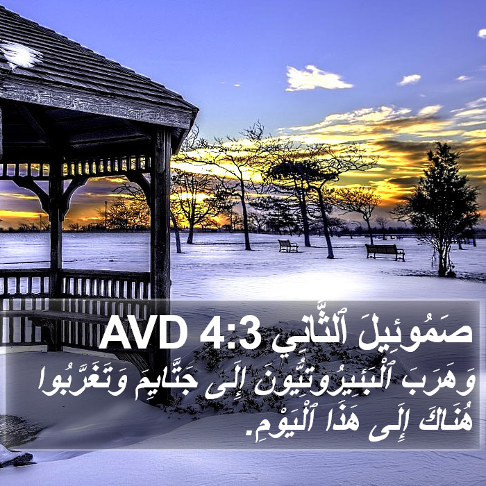 صَمُوئِيلَ ٱلثَّانِي 4:3 AVD Bible Study
