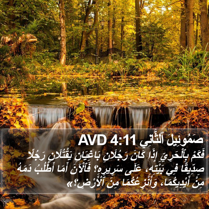 صَمُوئِيلَ ٱلثَّانِي 4:11 AVD Bible Study