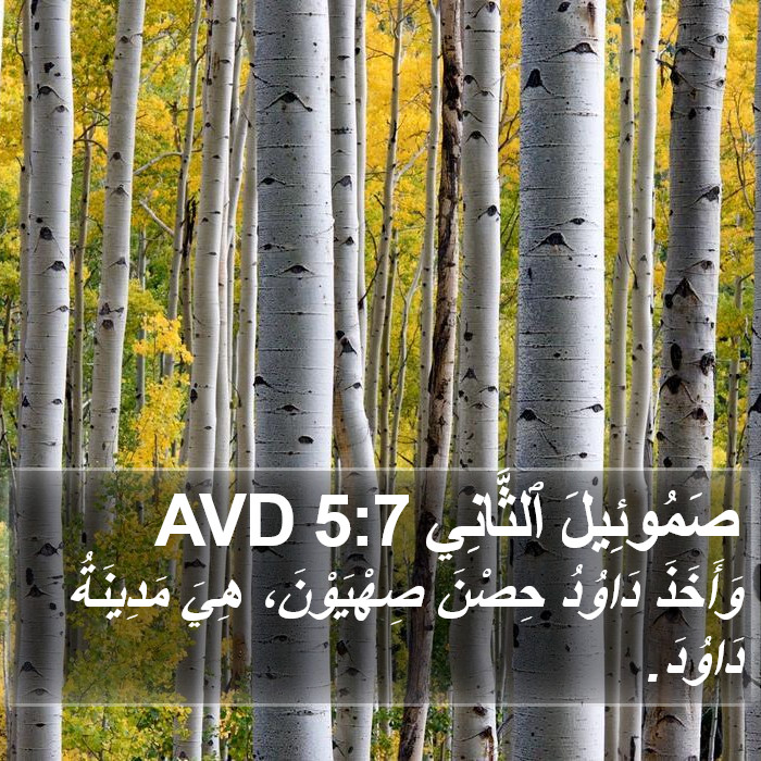 صَمُوئِيلَ ٱلثَّانِي 5:7 AVD Bible Study