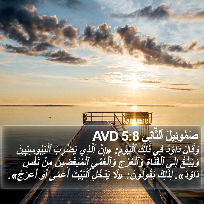 صَمُوئِيلَ ٱلثَّانِي 5:8 AVD Bible Study