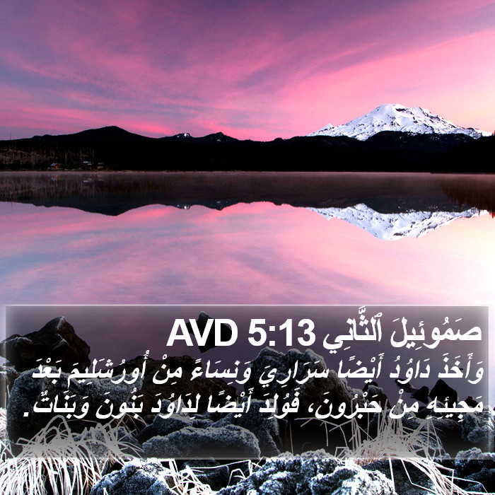 صَمُوئِيلَ ٱلثَّانِي 5:13 AVD Bible Study