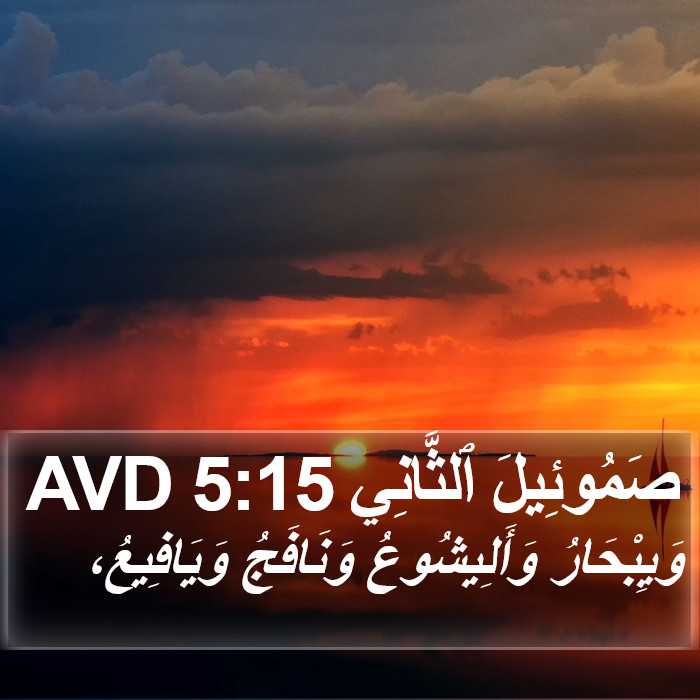 صَمُوئِيلَ ٱلثَّانِي 5:15 AVD Bible Study