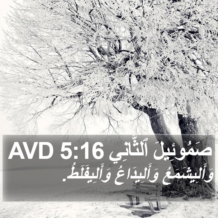 صَمُوئِيلَ ٱلثَّانِي 5:16 AVD Bible Study